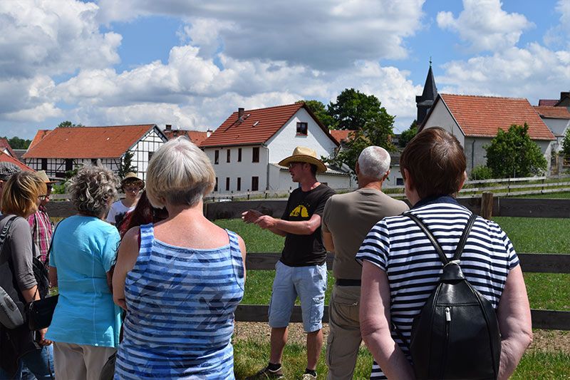 Straussenhof Kleinhettstedt Naturbrut Küken