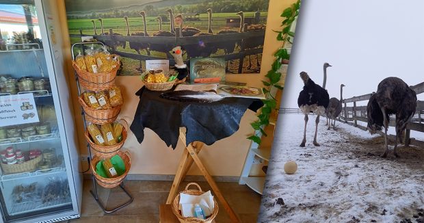 Die Winterpause ist beendet!