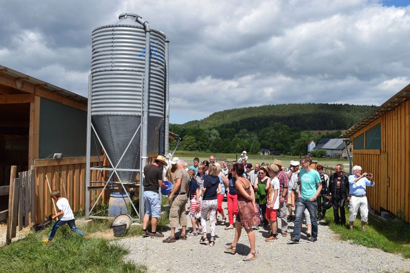 Straussenhof Kleinhettstedt Naturbrut Küken