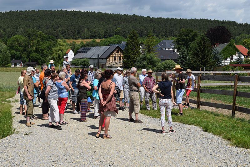 Straussenhof Kleinhettstedt Naturbrut Küken