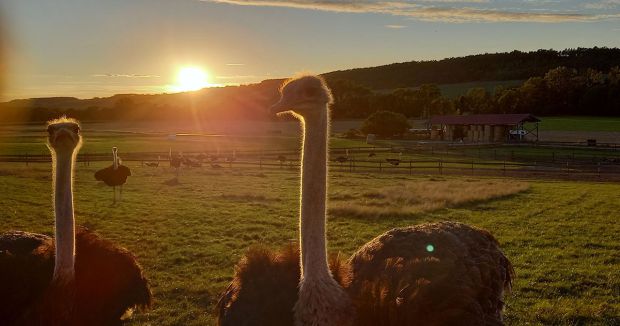 Heiße Sommer, Trockenheit und Starkregen