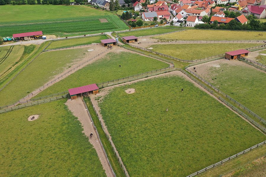 Straussenhof Kleinhettstedt Luftbild Gehege Dorf
