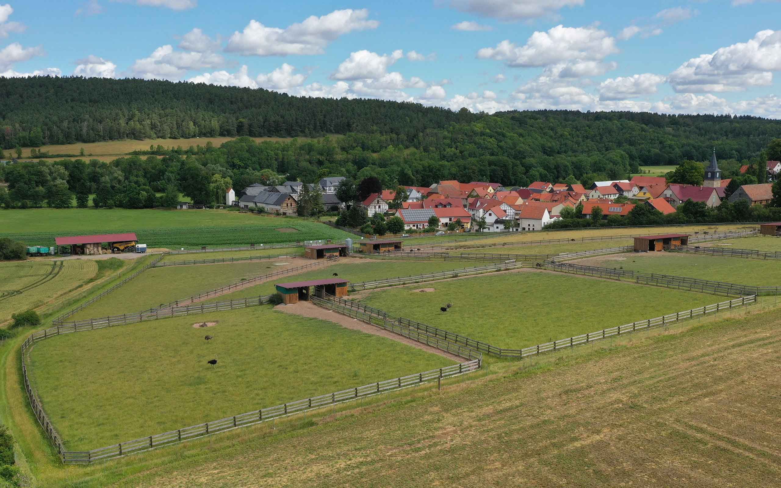 Luftbild vom Straußenhof Kleinhettstedt