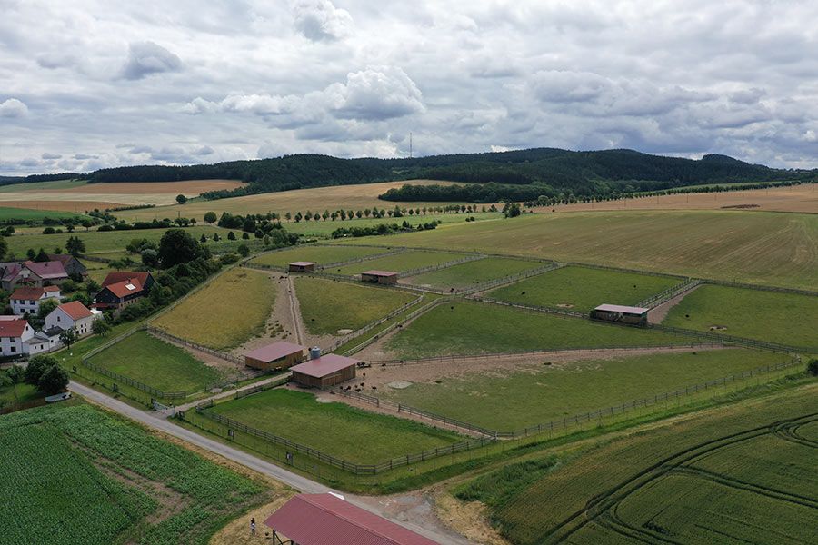 Straussenhof Kleinhettstedt Luftbild Gehege Aussicht