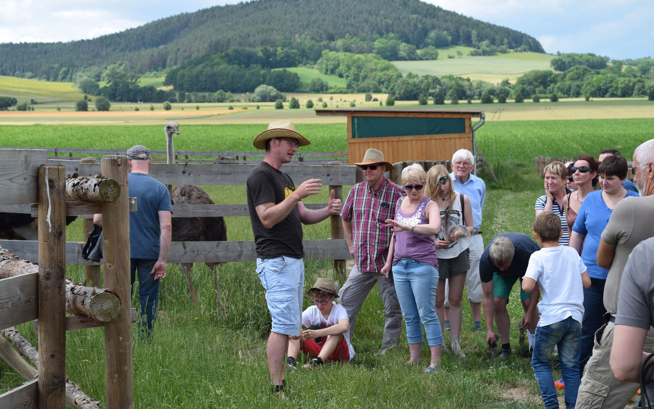 Führungen auf dem Straußenhof