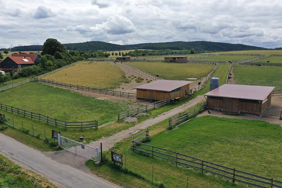 Straussenhof Kleinhettstedt Luftbild Gehege